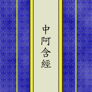 中阿含經