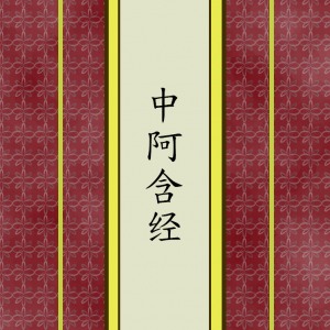 中阿含经