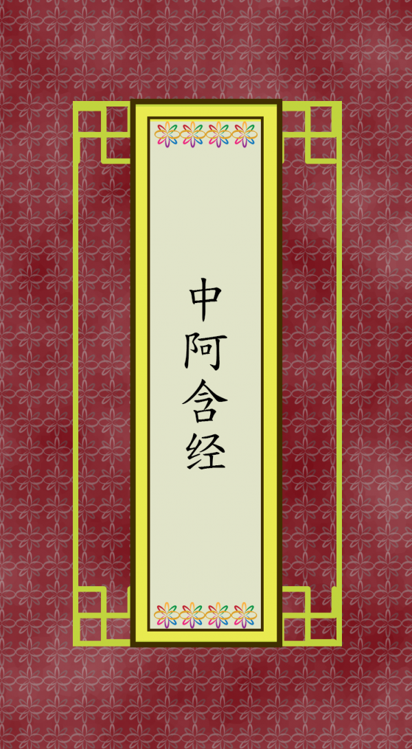 中阿含经