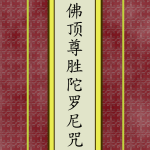 佛顶尊胜陀罗尼咒
